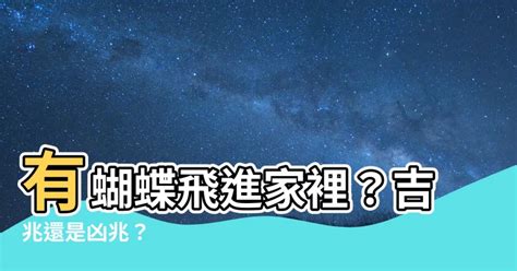 蝴蝶飛進家裡幾號|蝴蝶飛進家，如何應對趨吉避兇？